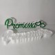 PORTACONFETTI PROMESSA SCRITTA ESTRAIBILE VERDE GLITTER 55x15x5cm