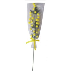 24 RAMETTI MIMOSA