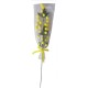 24 RAMETTI MIMOSA GIGANTI 37 CM