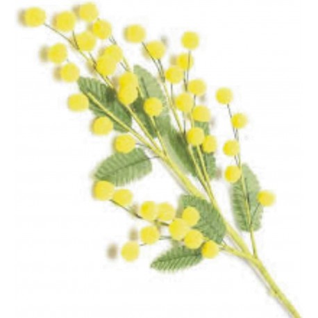 24 RAMETTI MIMOSA SFUSO LUX 25 cm
