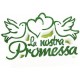LA NOSTRA PROMESSA COLOMBE 38X27X5 CM